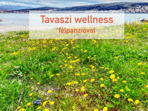 Tavaszi wellness félpanzióval